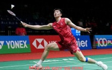 pg电子在线官网-法甲年度顶级联赛赛事总结与球队表现